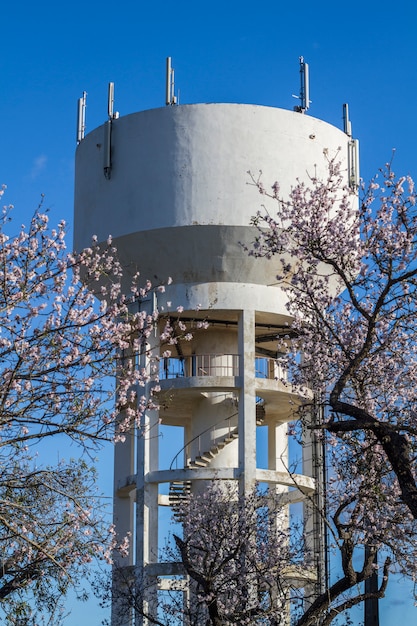 Nahe Ansicht einer Niederlassung der Mandelbaumblüte blüht in der Natur und in einem Wasserturm.