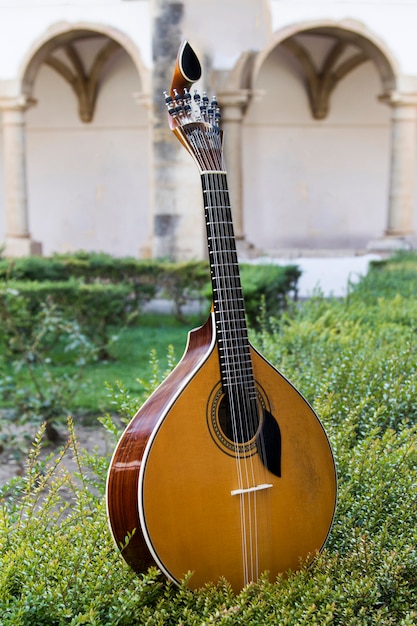 Nahe Ansicht einer traditionellen portugiesischen Gitarre auf einen vereinbarten Garten.