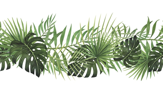 Foto nahtlose grenze girlande tropisches blatt monstera und palm aquarell isoliert auf weißem hintergrund aquarell handgezeichnete botanische illustration kunstdesign für verpackungsvorlage poster