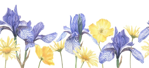 Nahtlose Grenze von Sommerblumen, handgezeichnet in Aquarell