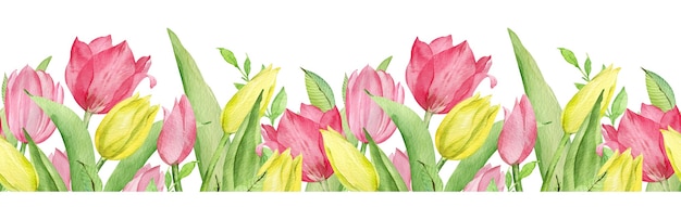 Nahtlose Mustergrenze des Aquarells von rosa und gelben Tulpen und grünen Blättern. Osterblumengrenze isoliert