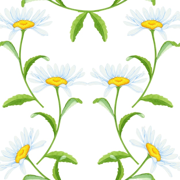 Nahtloser Hintergrund mit Blumen und Kamillenblättern auf weißem Hintergrund Aquarell-Blumenillustrierung