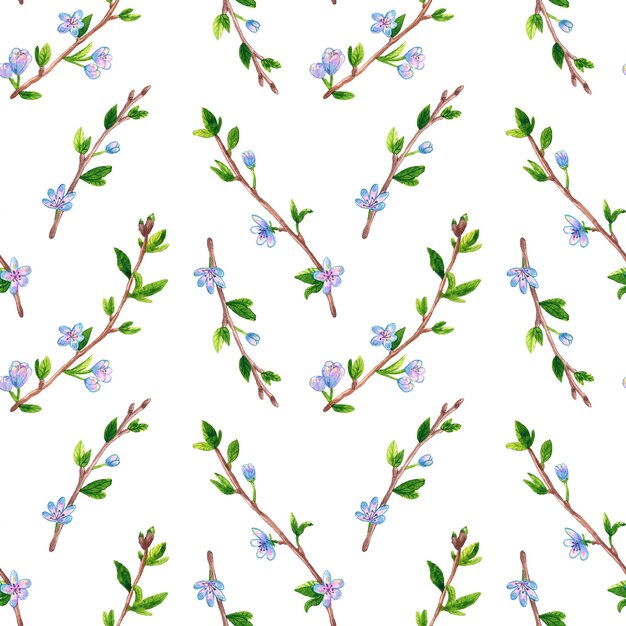 Nahtloses Blumenmuster mit Frühlingszweigen mit Blumen. Apfel- oder Kirschbaum. Hand gezeichnete Aquarellillustration.