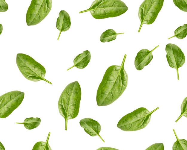 Nahtloses Muster aus grünen rohen essbaren Spinatblättern mit hohem Nährwert und Vitaminen
