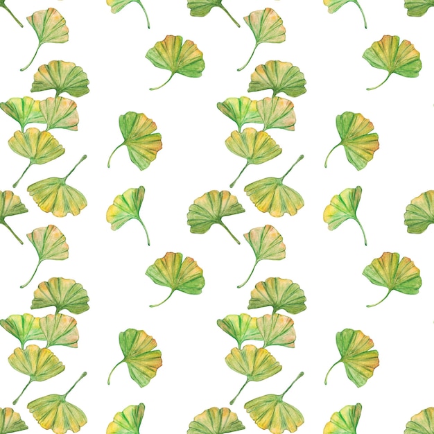 Nahtloses Muster ginkgo biloba grüne und gelbe Blätter drucken Botanik Laub Aquarell Zweige Blätter ClipArt