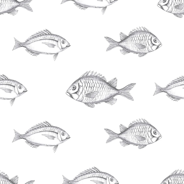 Nahtloses Muster mit Fischbleistift grafische Illustration für Meeresfrüchte Restaurant Design Verpackung