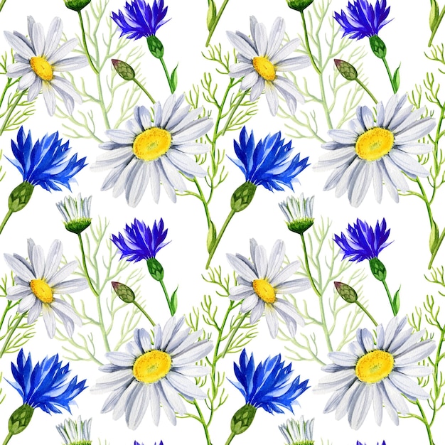 Nahtloses Muster mit Gänseblümchen Kornblumen Wildblumen Aquarell handgezeichnete Illustration