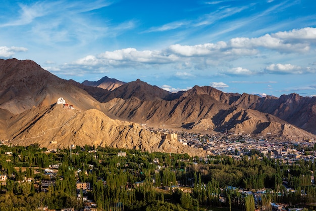 Namgyal Tsemo gompa y fuerte. Ladakh, India