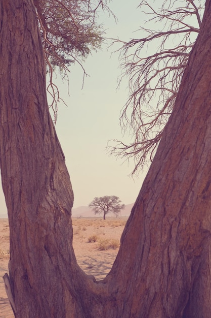 Foto namibias landschaften