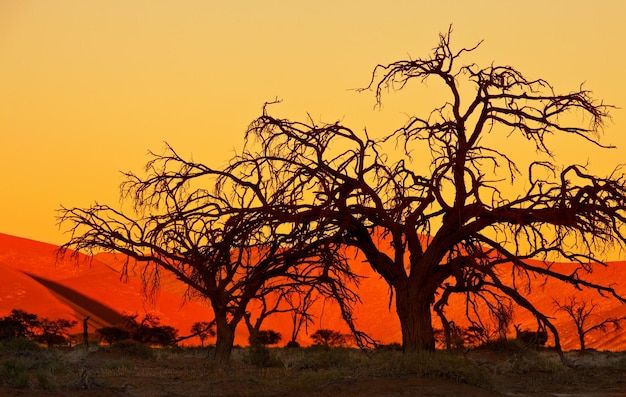 Namibischer Sonnenuntergang