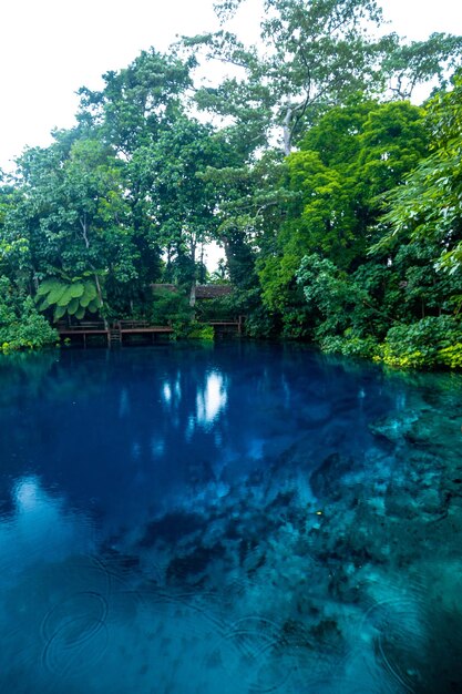 Nanda Blue Hole Espíritu Santo Vanuatu Luganville