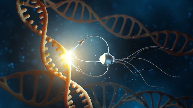 Nanorrobô substituindo parte de uma molécula de dna