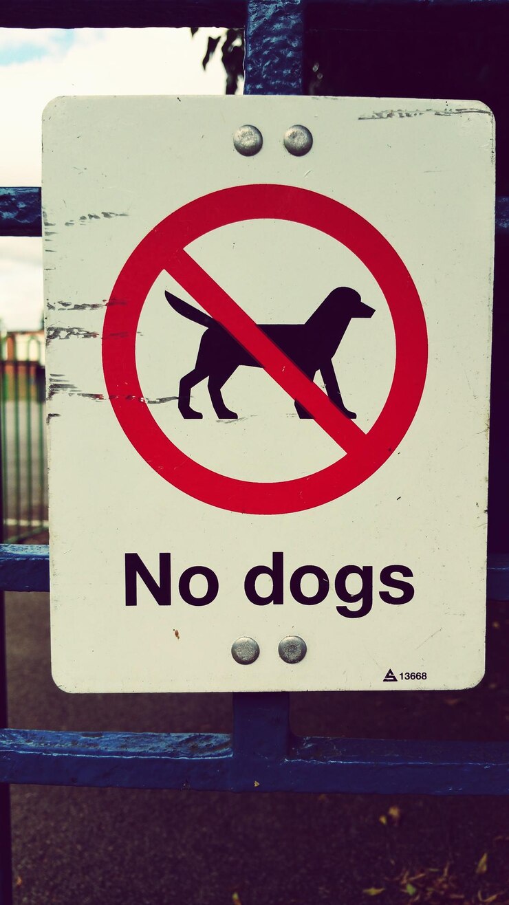 Foto não são permitidos cães no portão.