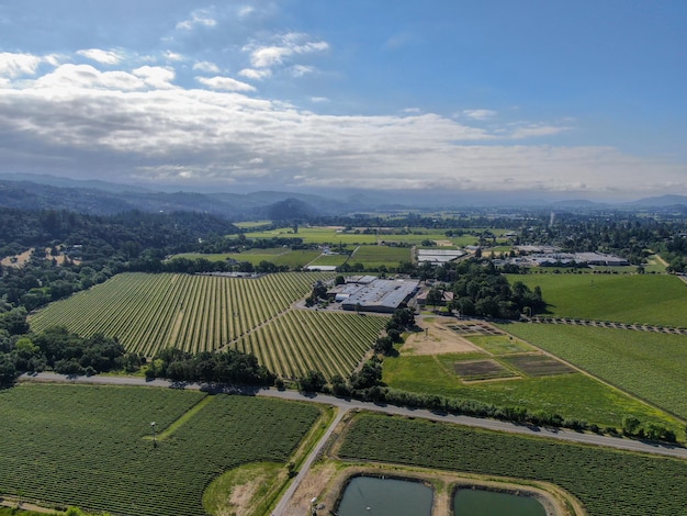 Napa County im kalifornischen Weinland