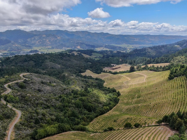 Napa Valley California's Wine Country parte da região da Baía Norte da área da Baía de São Francisco