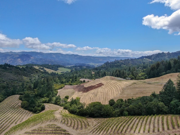 Napa Valley Das kalifornische Weinland ist Teil der Region North Bay in der San Francisco Bay Area