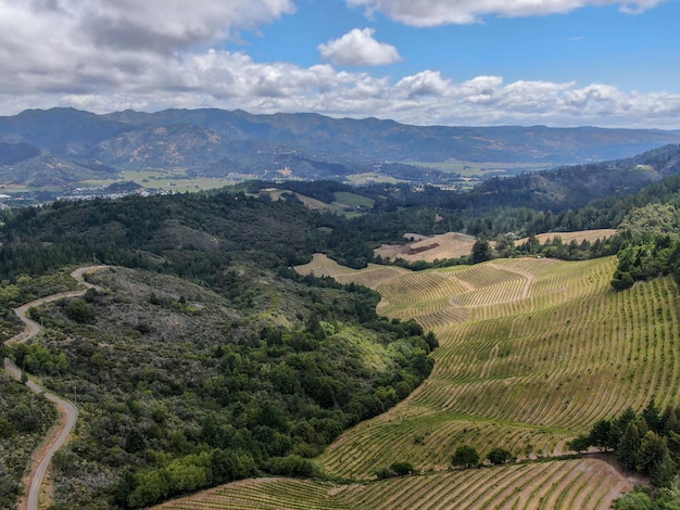 Napa Valley Das kalifornische Weinland ist Teil der Region North Bay in der San Francisco Bay Area