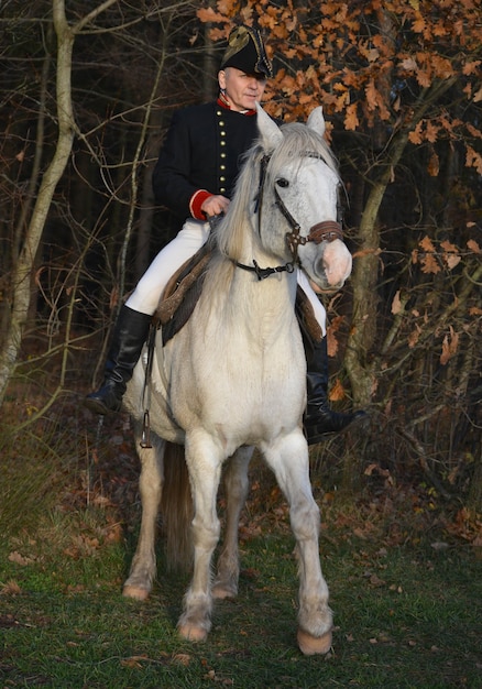 Napoleão bonaparte em um cavalo branco no fundo da natureza.