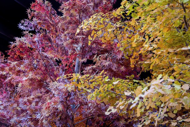 Naranja artificial hoja seca decoración del árbol otoño