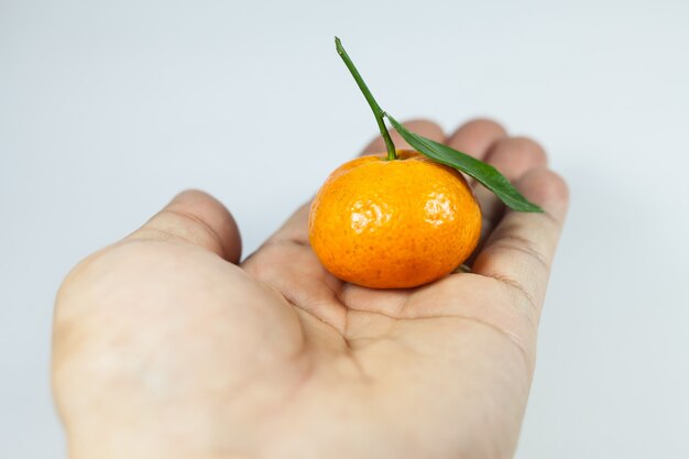 Naranja con blanco.