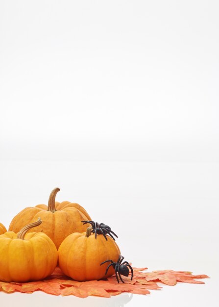 Foto naranja calabaza de halloween blanco