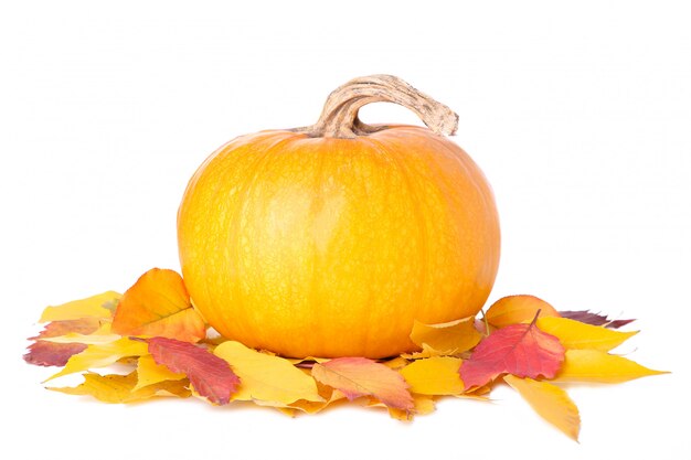 Naranja calabaza con hojas aisladas sobre un fondo blanco.