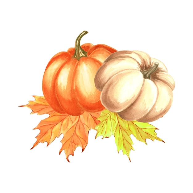 Naranja de calabaza con hojas de arce composición de otoño ilustración de acuarela dibujada a mano