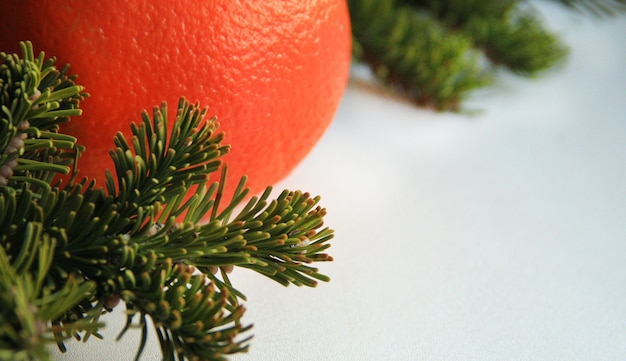 naranja con esponjosas ramas de abeto fresco sobre un fondo claro