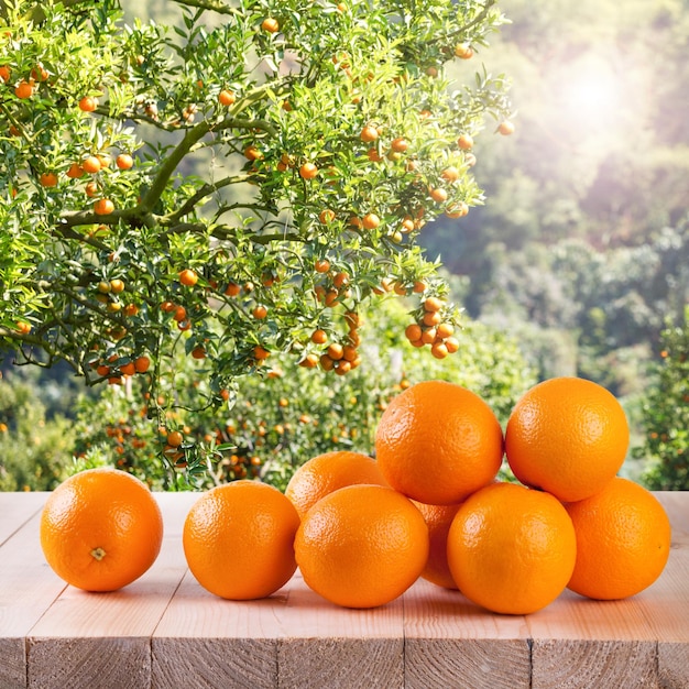 Naranja fresca en la mesa de madera en el jardín