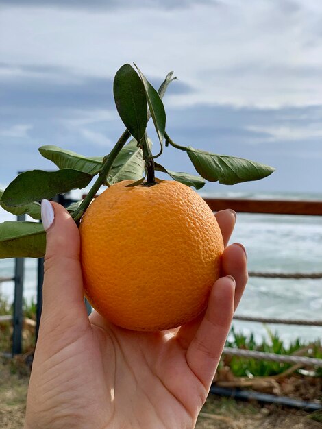 Naranja en la mano