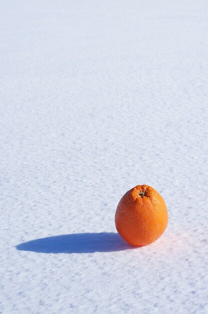 Naranja en la nieve en un día soleado