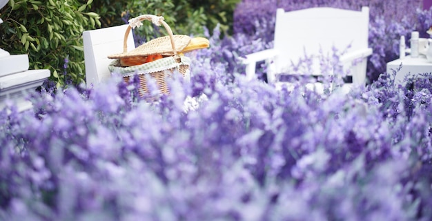 Naranja y pan en cesta de mimbre para picnic en campo de flores de lavanda