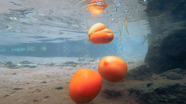 Naranjas flotando en el agua bajo un cielo azul.