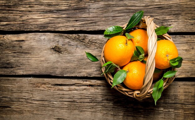 Naranjas frescas en la canasta con hojas.