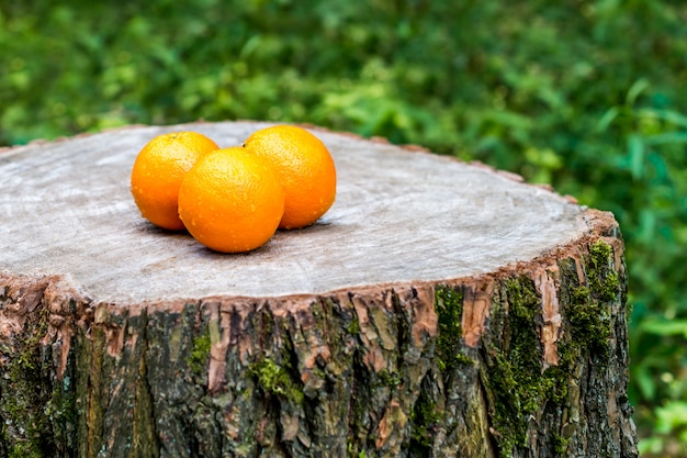 Naranjas frescas maduras en un tocón