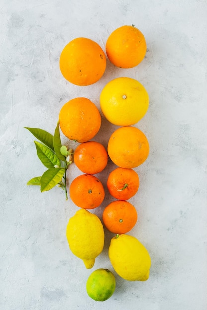 Naranjas mandarinas y limones en vista aérea sobre fondo vintage