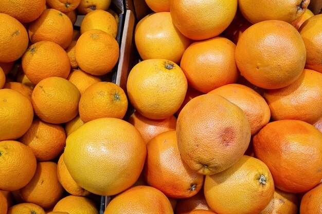 Naranjas, mandarinas, pomelos. Muchas frutas.