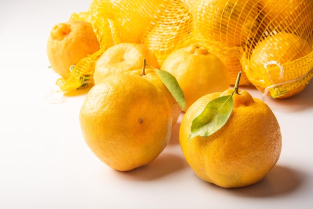 Naranjas Ponkan sueltas y en una red sobre fondo blanco enfoque selectivo