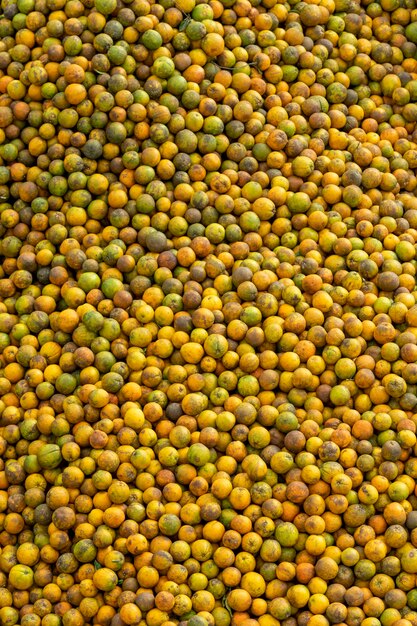 Naranjas tropicales frescas Vista elevada de un montón de naranjas saludables