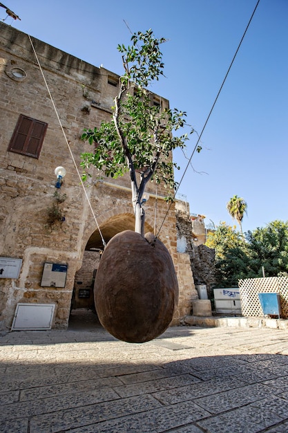 El naranjo suspendido en Jaffa, Israel