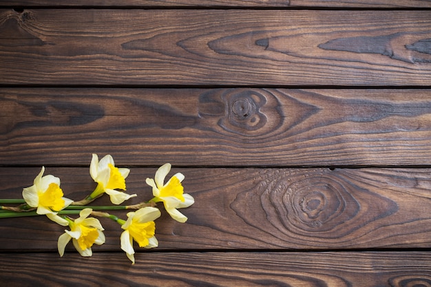 Narciso amarillo sobre fondo de madera oscura