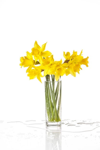 Narciso atado aislado en blanco, flores de verano en vidrio con salpicaduras de agua, con reflejo