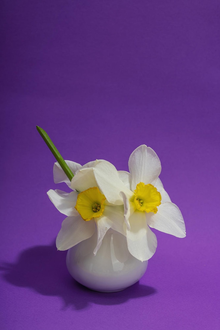 Foto narcisos en flor con huevos de pascua y conejos en b verde claro