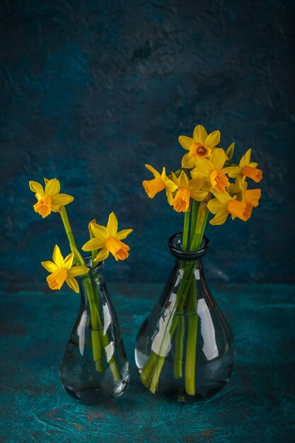 Narcisos en miniatura de color amarillo brillante primavera en jarrones de cristal