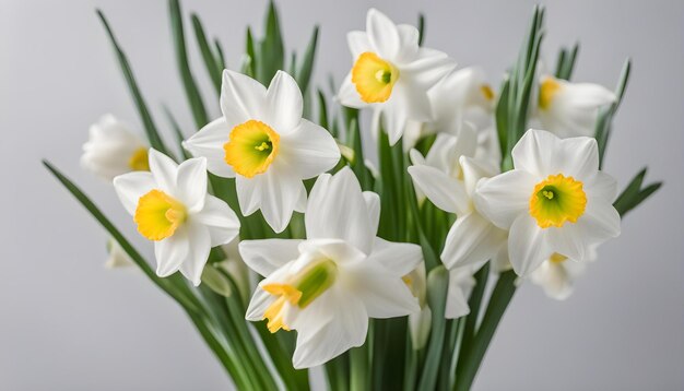 narcisos en el suelo