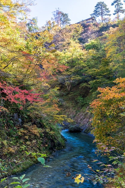 Naruko Gorge Miyagi Tohoku Japón