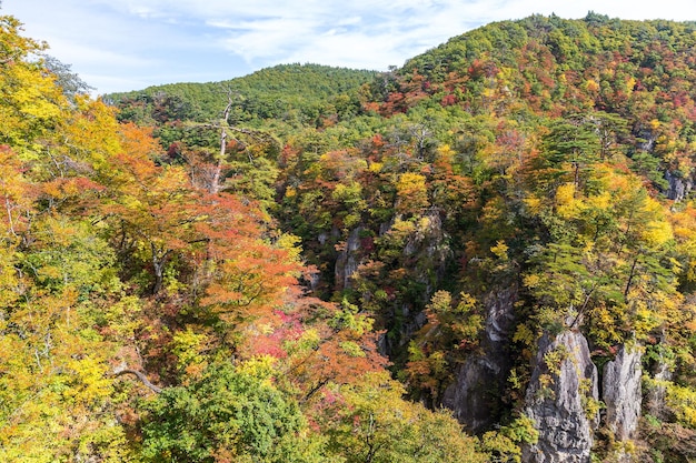 Foto naruko-schlucht in japan