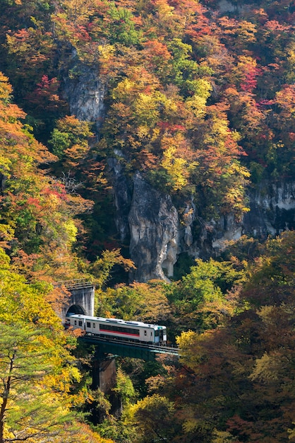 Naruko-Schluchttal mit Eisenbahntunnel in Miyagi Tohoku Japan