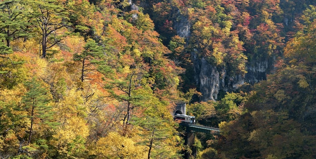 Naruko-Schluchttal mit Zugeisenbahntunnel in Panorama Miyagi Tohoku Japan