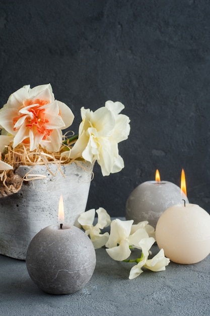 Foto narzissen im blumentopf auf dunklem beton